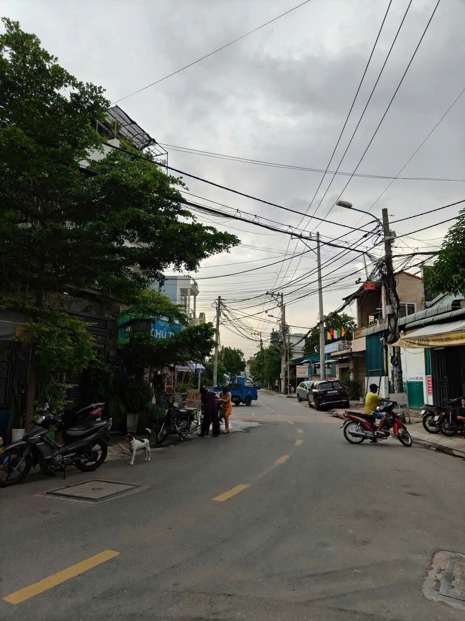 3 LÔ ĐẤT ĐẸP – MT TRẦN THỊ HÈ, P. HIỆP THÀNH, Q12 – GIÁ TỐT CHO NHÀ ĐẦU TƯ - Ảnh chính
