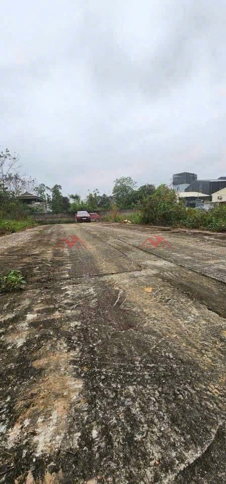 CHÍNH CHỦ BÁN LÔ ĐẤT 90,6M TẠI THỦY XUÂN TIÊN-CHƯƠNG MỸ-HA NỘI - Ảnh 2