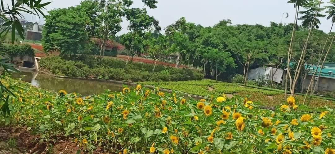MẢNH ĐẤT VÀNG, PHỐ ÂU CƠ, TÂY HỒ-KD-Ô TÔ:838M, MT 26M, GIÁ 139 TỶ - Ảnh 3