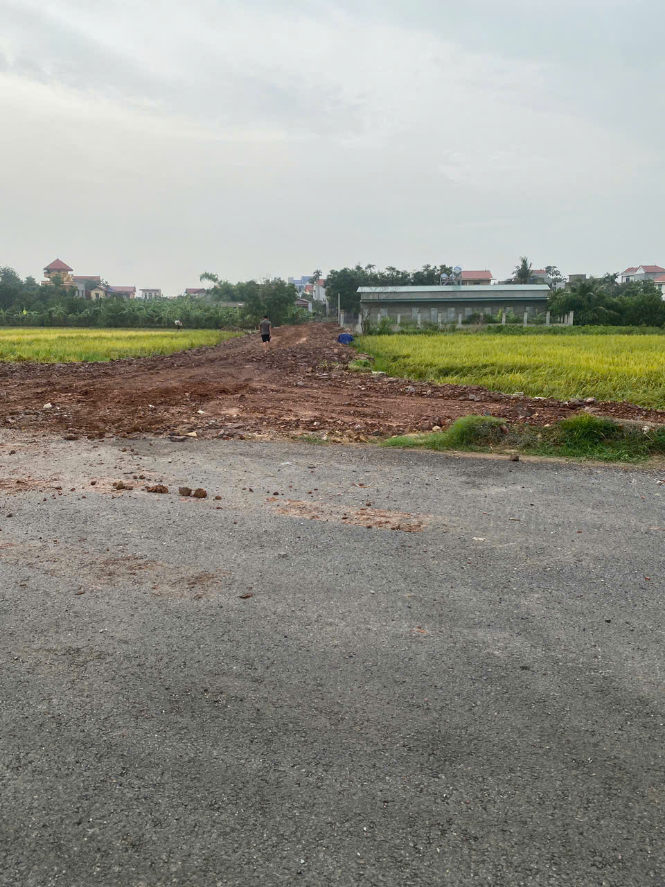 CHÍNH CHỦ BÁN ĐẤT TẠI PHƯỜNG TRẠM LỘ - THỊ XÃ THUẬN THÀNH - BẮC NINH - Ảnh 2