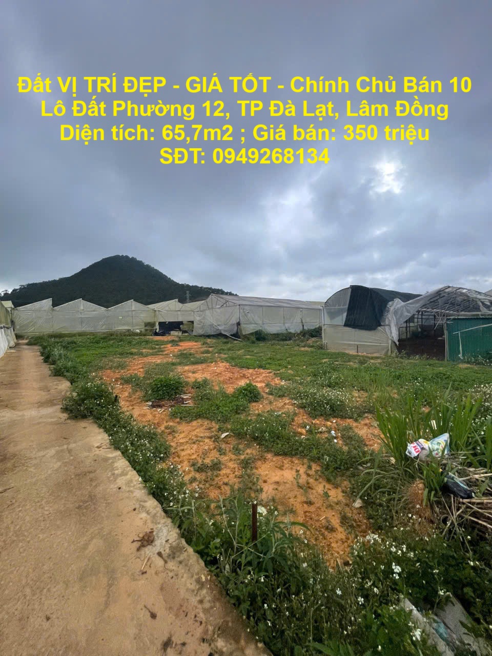 Đất VỊ TRÍ ĐẸP - GIÁ TỐT - Chính Chủ Bán 10 Lô Đất Phường 12, TP Đà Lạt, Lâm Đồng - Ảnh chính