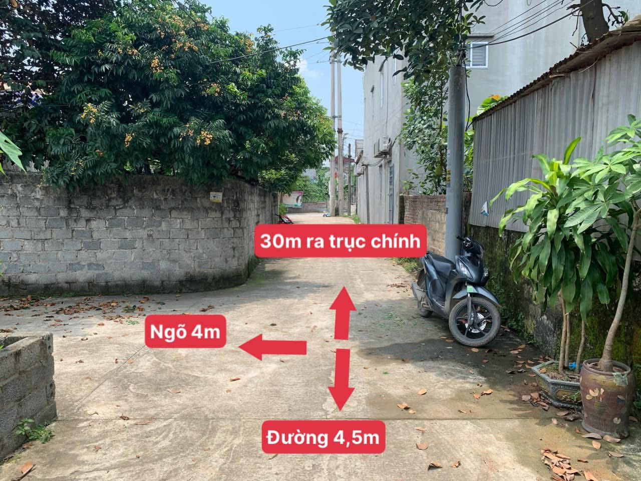 467m thủy xuân tiên chương mỹ - Ảnh 1