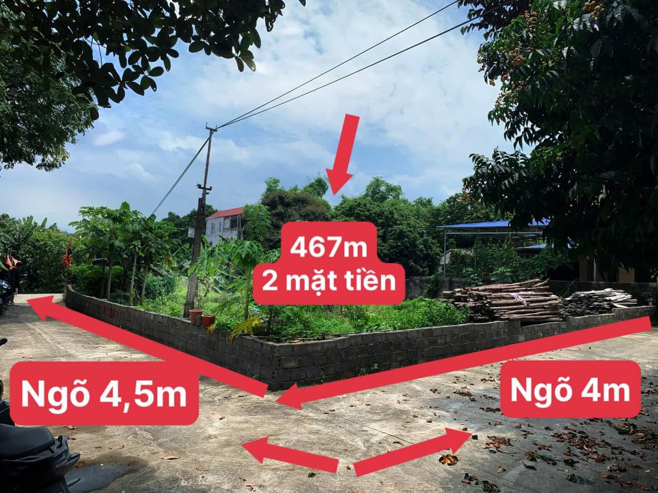 467m thủy xuân tiên chương mỹ - Ảnh 2
