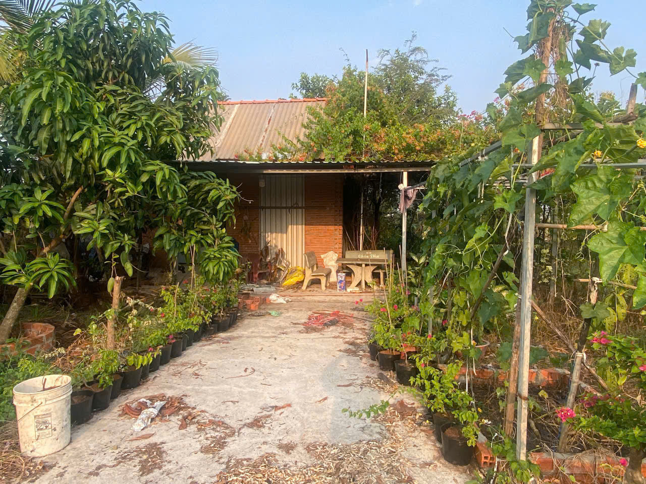 1022m2 có 2,3 tỷ Kênh Đông Trung Lâp Thượng Củ Chi TP.HCM - Ảnh 2