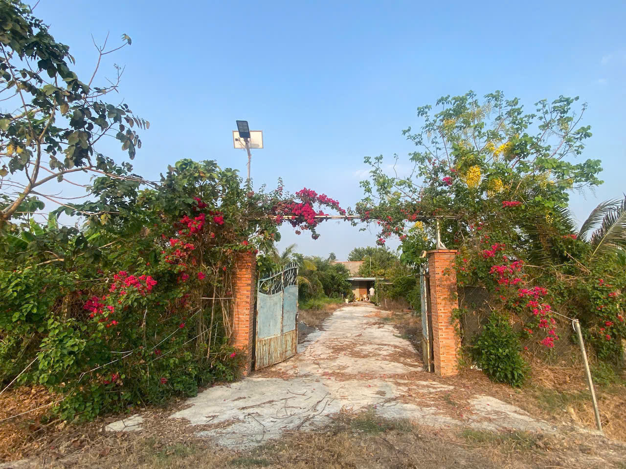 1022m2 có 2,3 tỷ Kênh Đông Trung Lâp Thượng Củ Chi TP.HCM - Ảnh 3