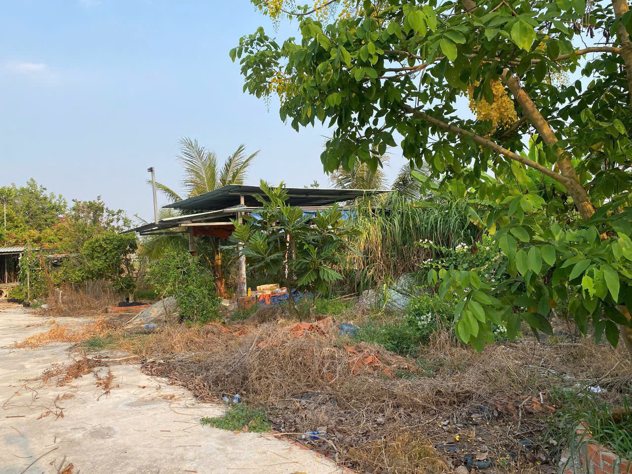 1022m2 có 2,3 tỷ Kênh Đông Trung Lâp Thượng Củ Chi TP.HCM - Ảnh 4