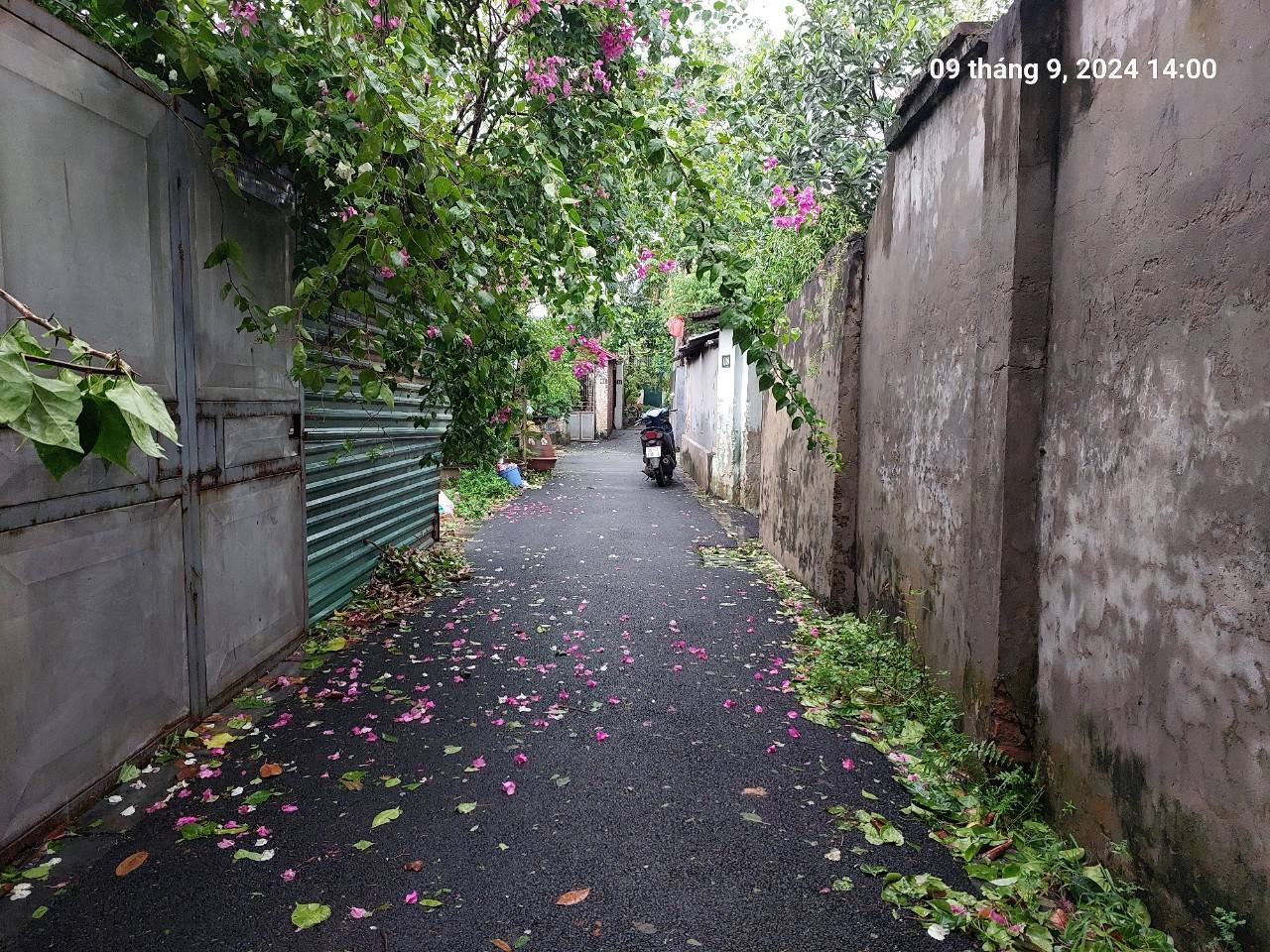 Không có lô nào rẻ hơn ạ.<br>Đất Bắc Hồng, 180m2, mt8.7m, 8.4 tỷ, Đông Anh. - Ảnh 4