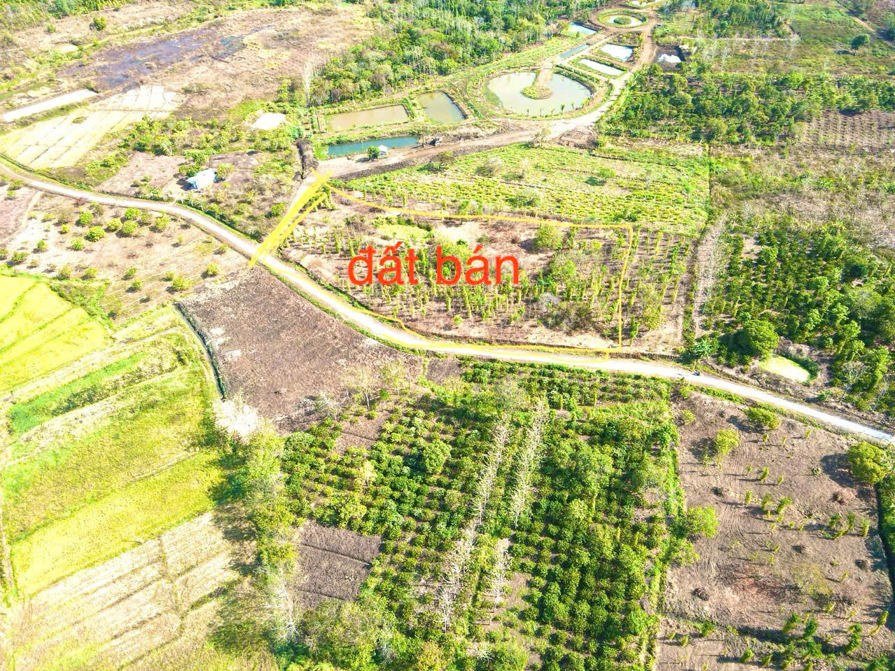 Quảng Hiệp-Cư Mgar dt trên 8000m2 với 133m mặt tiền ô tô tới đất đường đá mi oto tới đất giá chỉ 7xx - Ảnh 2
