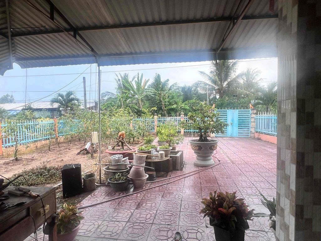 HOT HOT - ĐẤT ĐẸP  - GIÁ RẺ - BÁN GẤP Nhà Đất HUYỆN CAO LÃNH, ĐỒNG THÁP - Ảnh 1