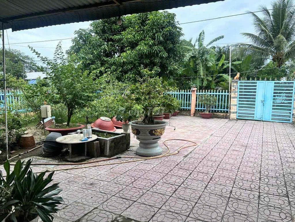 HOT HOT - ĐẤT ĐẸP  - GIÁ RẺ - BÁN GẤP Nhà Đất HUYỆN CAO LÃNH, ĐỒNG THÁP - Ảnh 2