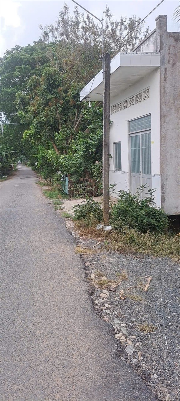 ĐẤT CHÍNH CHỦ - GIÁ TỐT - Cần Bán Đất Xã Tân Thạnh, Thanh Bình, Đồng Tháp - Ảnh 1