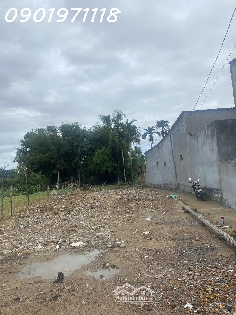 Chính Chủ Cần Bán Lô đất, Sổ Hồng Ra Nhanh Chóng tại Xã Phước Sơn, Bình Định, Giá 600tr - Ảnh 2