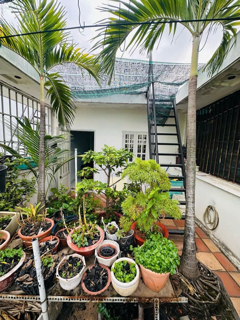 NHÀ ĐẸP QUANG TRUNG GV - NGAY TRUNG TÂM QUẬN - KHU PHÂN LÔ - HẺM 6M - 85M² - 4 TẦNG CHỈ 8.X TỶ - Ảnh 8