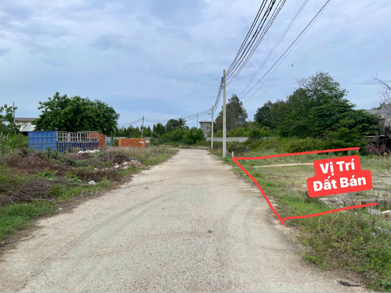 🌊 BÁN GẤP ĐẤT BIỂN P. MỸ ĐÔNG – 300M² THỔ CƯ – GIÁ CỰC TỐT! - Ảnh chính