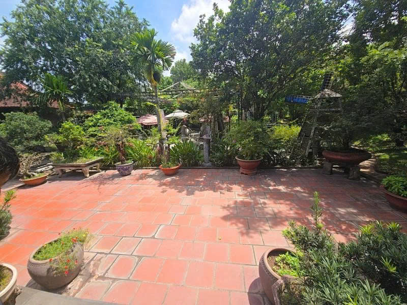 Bán nhà Vườn, Mặt tiền Dương Công Khi, gần QL22, 45x80m2, có 1000m2 thổ cư, 125 tỷ. - Ảnh chính