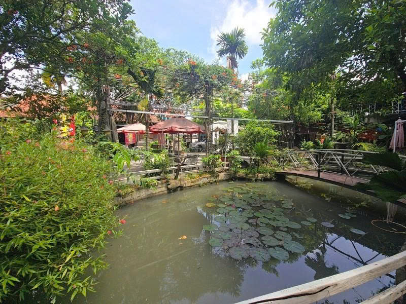Bán nhà Vườn, Mặt tiền Dương Công Khi, gần QL22, 45x80m2, có 1000m2 thổ cư, 125 tỷ. - Ảnh 1