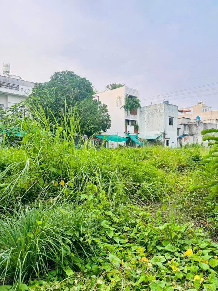 Bán đất 2 Mặt tiền đường số 8 - ngay Hồ Học Lãm - Kinh Dương Vương, 2282m2, 69,9 tỷ. - Ảnh 4