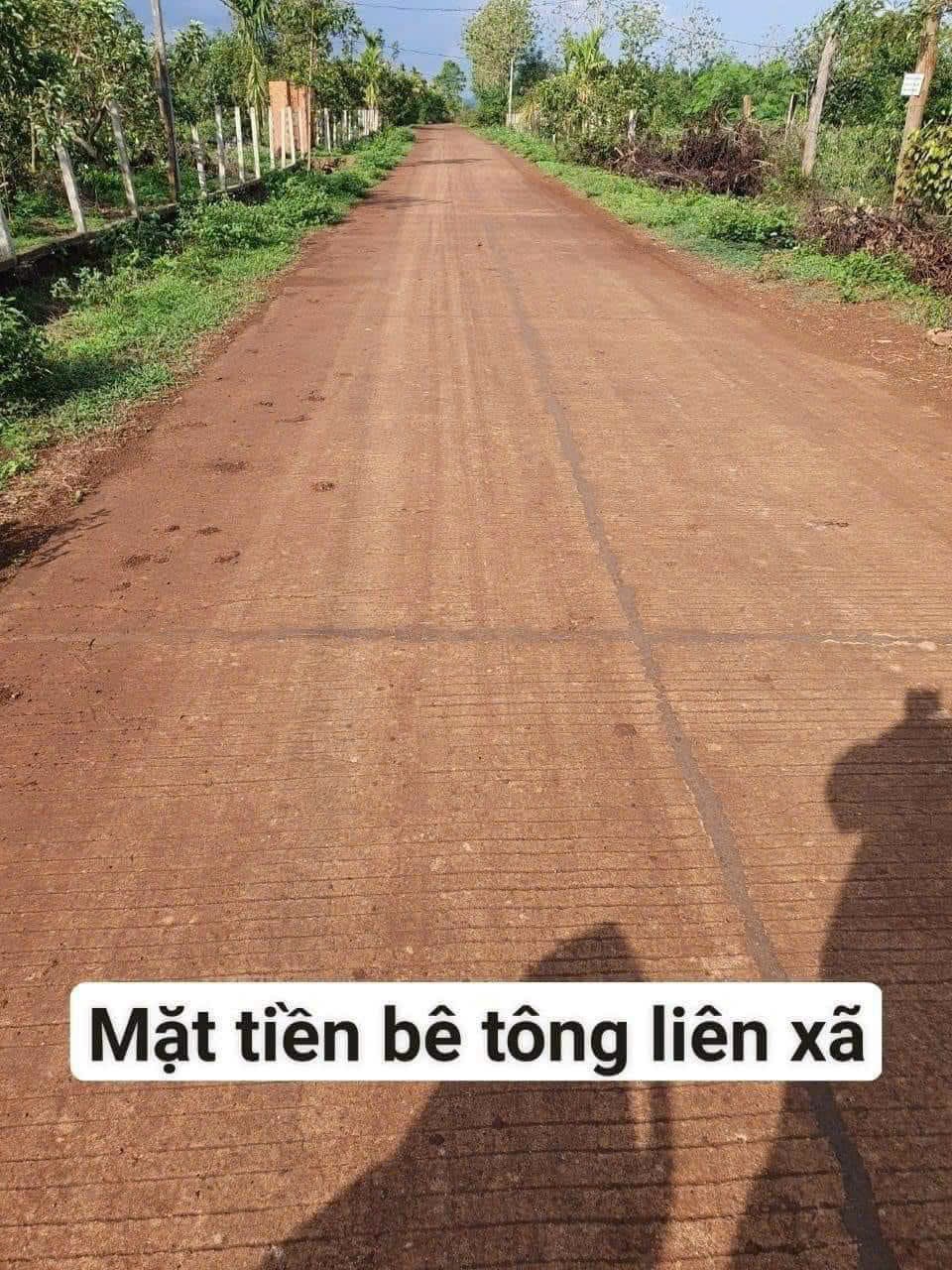 CHÍNH CHỦ GỬI BÁN 3 LÔ ĐẤT LIỀN KỀ – MẶT TIỀN BÊ TÔNG LIÊN XÃ QUẢNG HIỆP - EAHDING, CƯ' M GA, ĐĂK - Ảnh 3