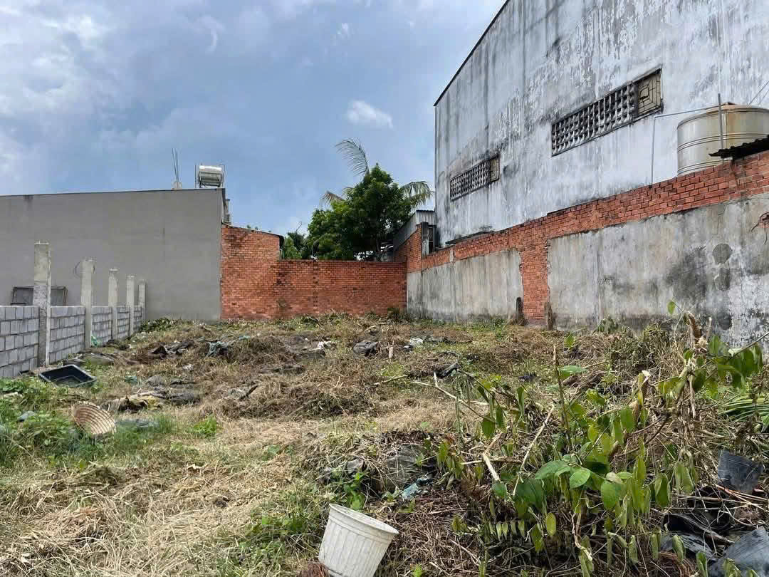 Lô Đất 544m² – Đường 5m – Sát MT Đặng Thúc Vịnh – Hóc Môn – Giá Chỉ 5,5 Tỷ‼️ - Ảnh chính