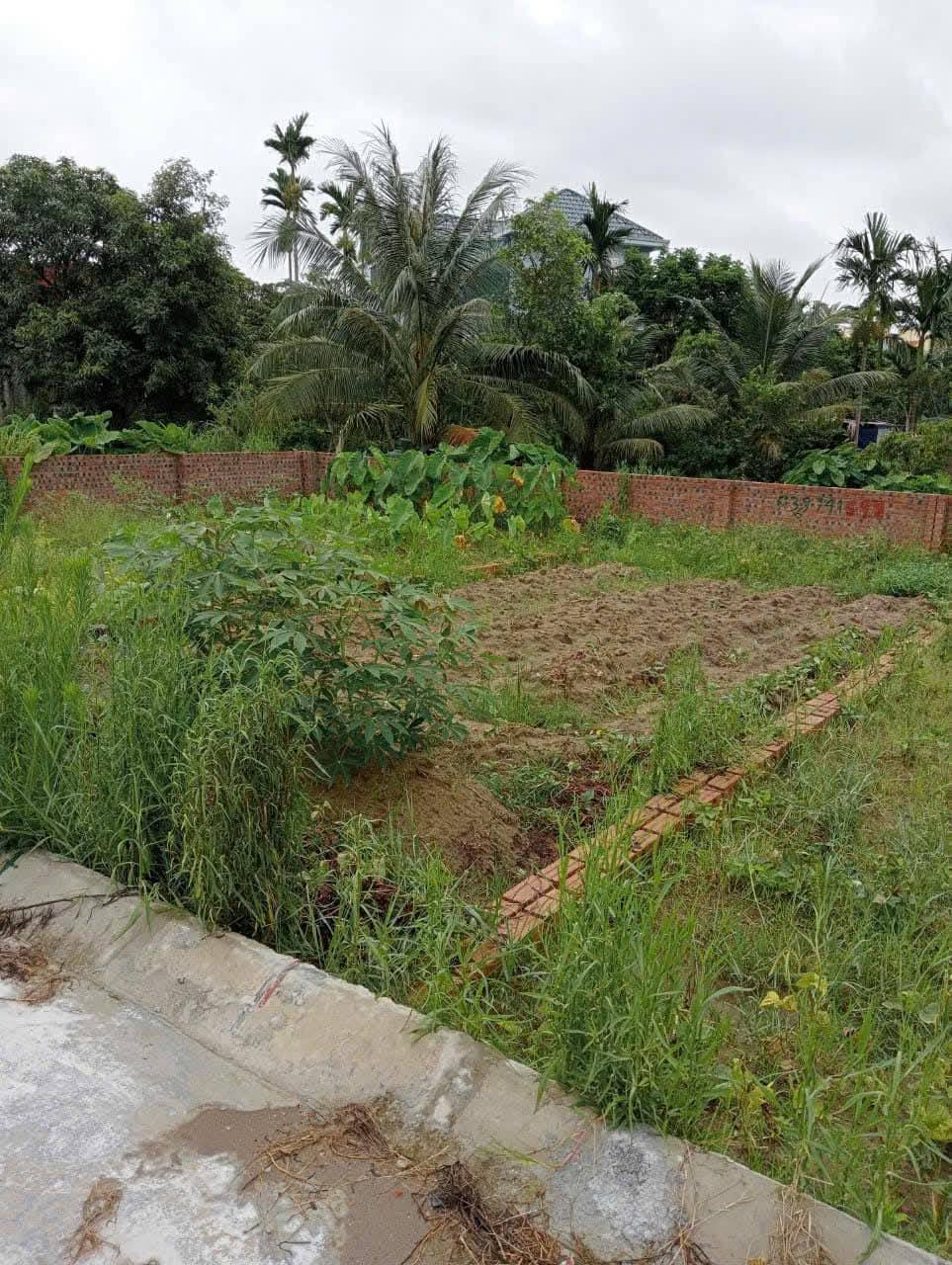 Bán đất Lai Cách Cẩm Giàng gần KCN Đại An, Tân Trường giá chỉ 7xx triệu - Ảnh 1