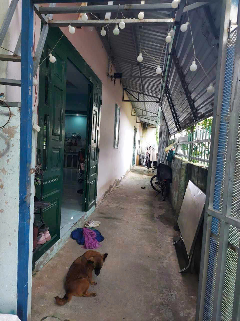 Bán nhà Dĩ An 200m2,đường nhựa 3 ô tô,Sổ Hồng Riêng,giá cực rẻ - Ảnh 3