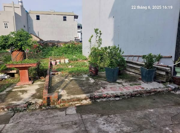 Đất Xuân Nộn 51m2, mt4m, 3.9 tỷ, Đông Anh, ô tô. - Ảnh chính