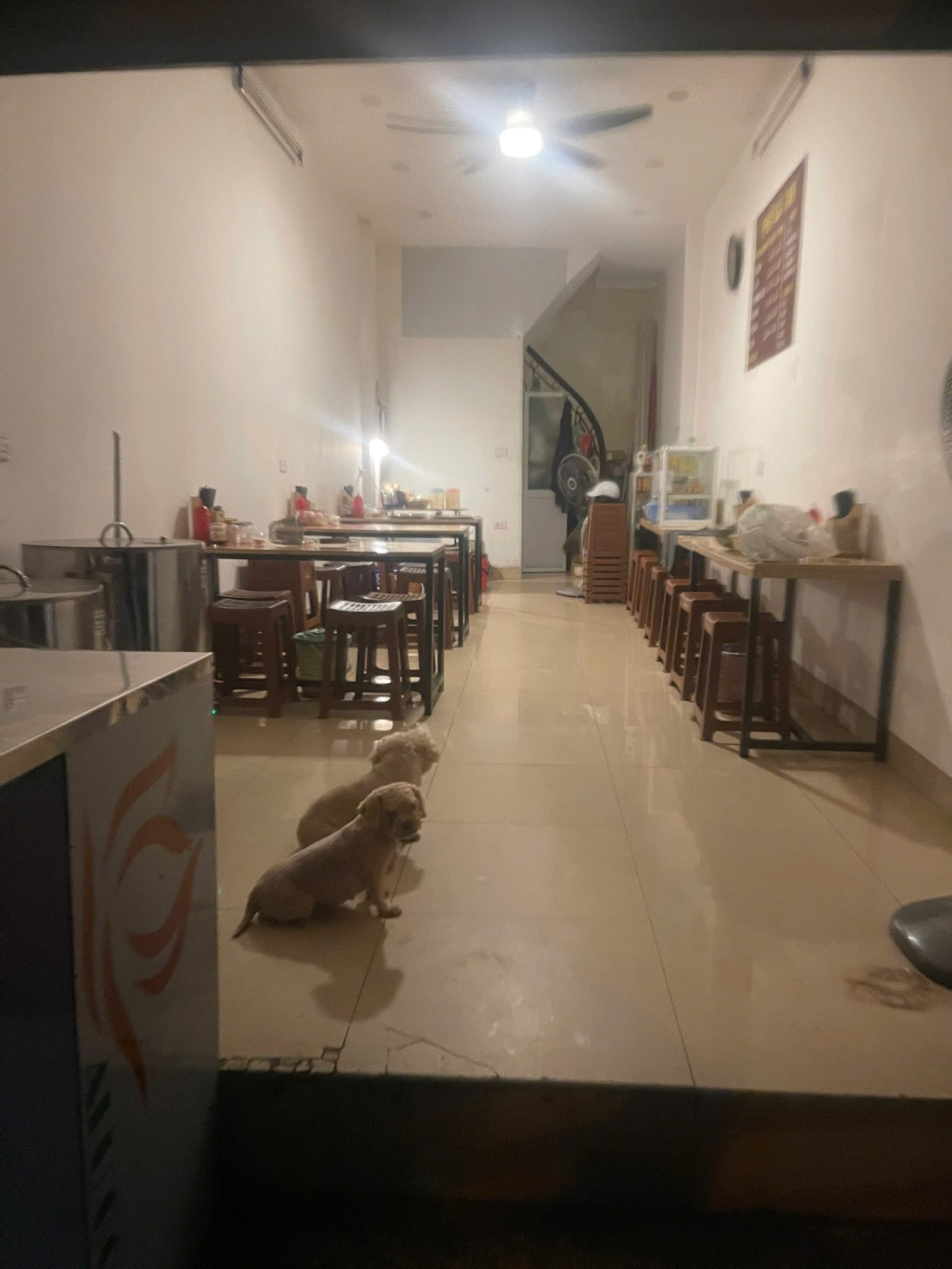 CHÍNH CHỦ CHO THUÊ MẶT BẰNG KINH DOANH MẶT ĐƯỜNG PHÚC TÂN - Ảnh chính