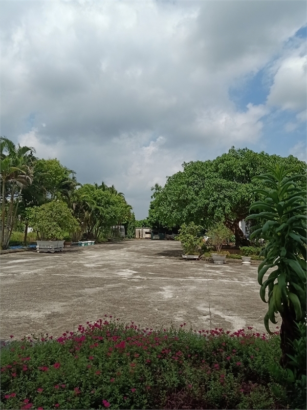 Bán đất Phường đại yên, TP Hạ Long, Tỉnh Quảng Ninh : DT 180m2 - Ảnh chính