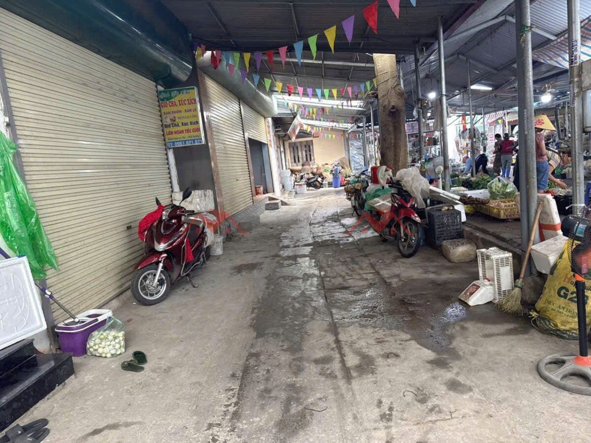 CHÍNH CHỦ BÁN LÔ ĐẤT 55.7M INH DOANH TẠI NAM PHƯƠNG TIẾN-CHƯƠNG MỸ-HÀ NỘI - Ảnh chính