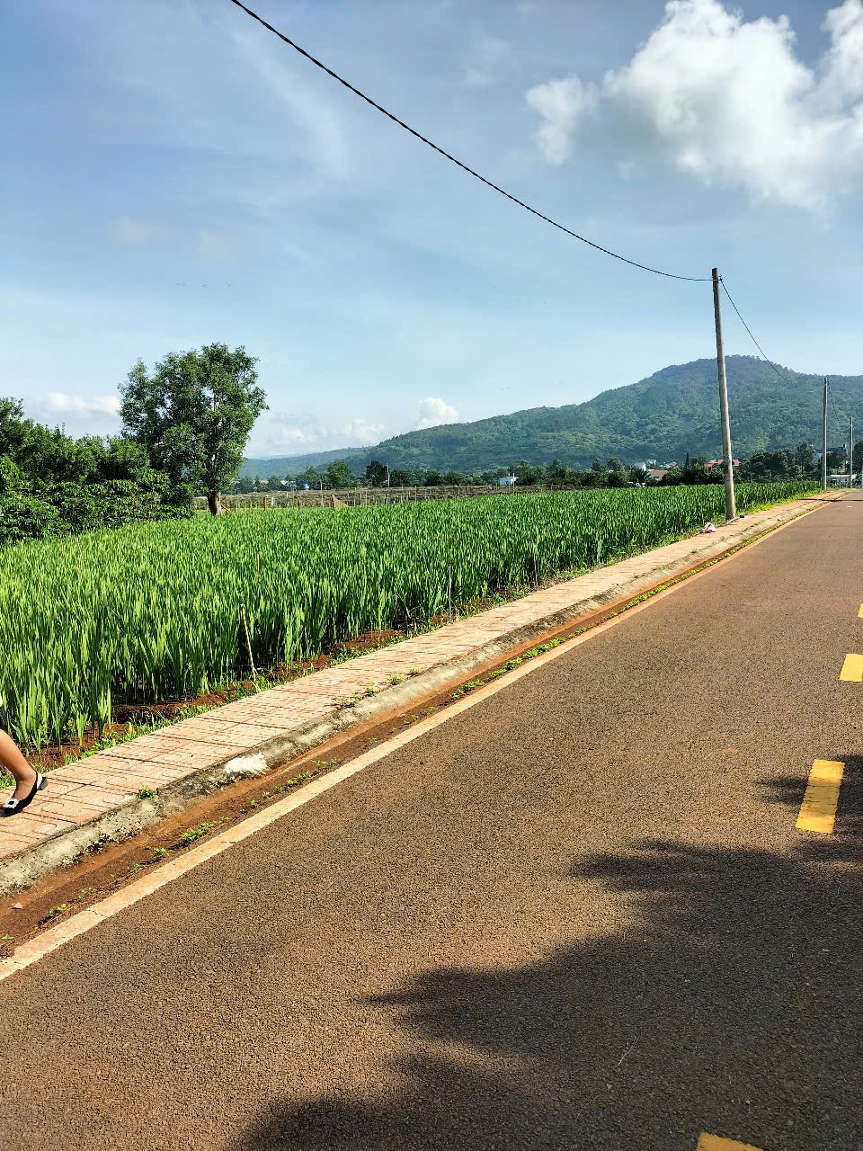 ĐẤT NỀN lIÊN hIỆP-VỊ TRÍ TRUNG TÂM-HẾT NỐI THUẬN TIỆN-TIỀM NĂNG VƯỢT TRỘI - Ảnh 1