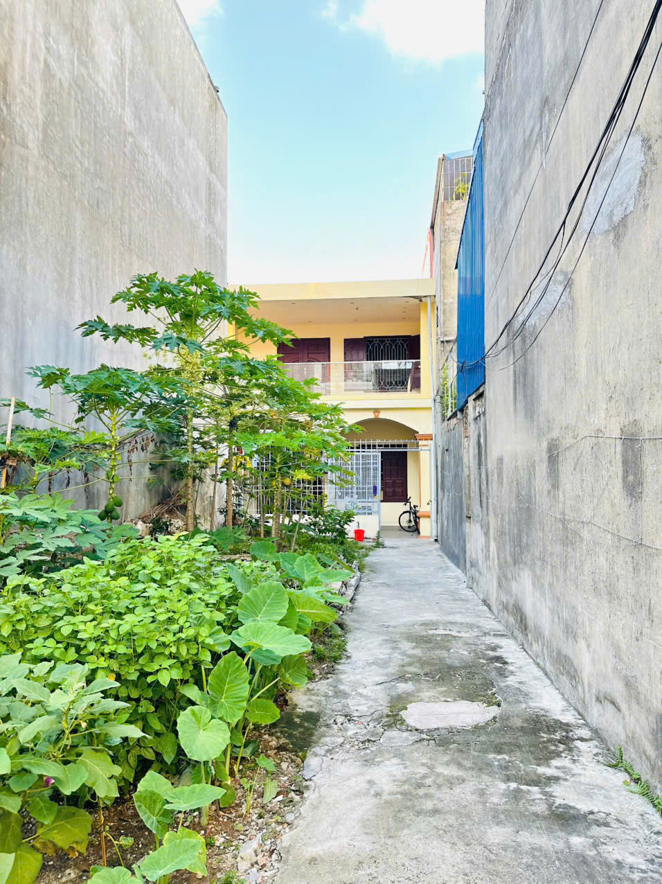 Cho thuê nhà nguyên căn – mặt ngõ 180 Trường Chinh, đối diện cổng Bệnh viện Nhi Đức  - Kiến An, Hải - Ảnh 4