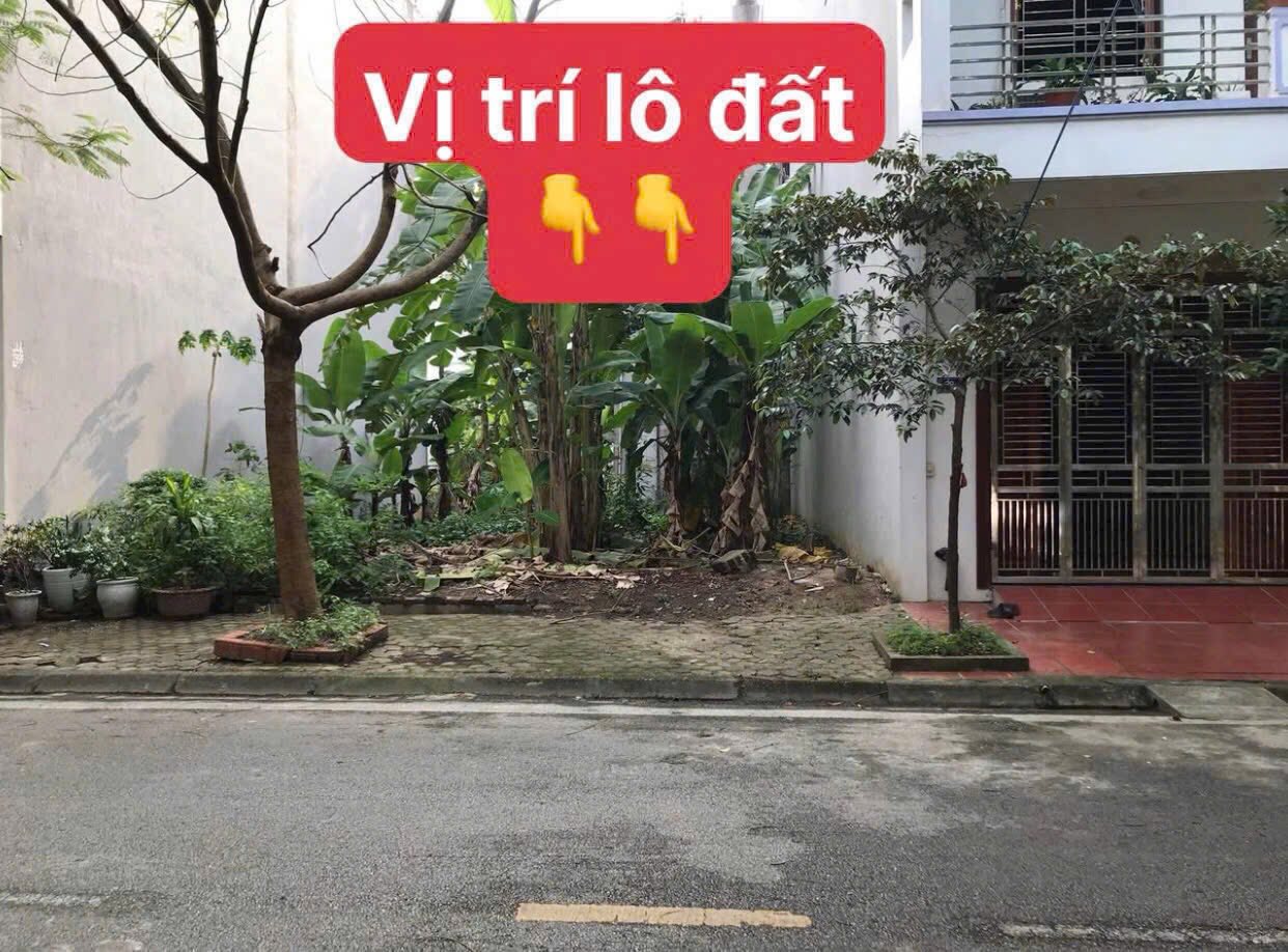 Bán lô đất mặt đường Trần Huy Liệu, khu Vạn Lộc, ph Tứ Minh, TP HD, 69.75m2, mt 4.5m - Ảnh 2