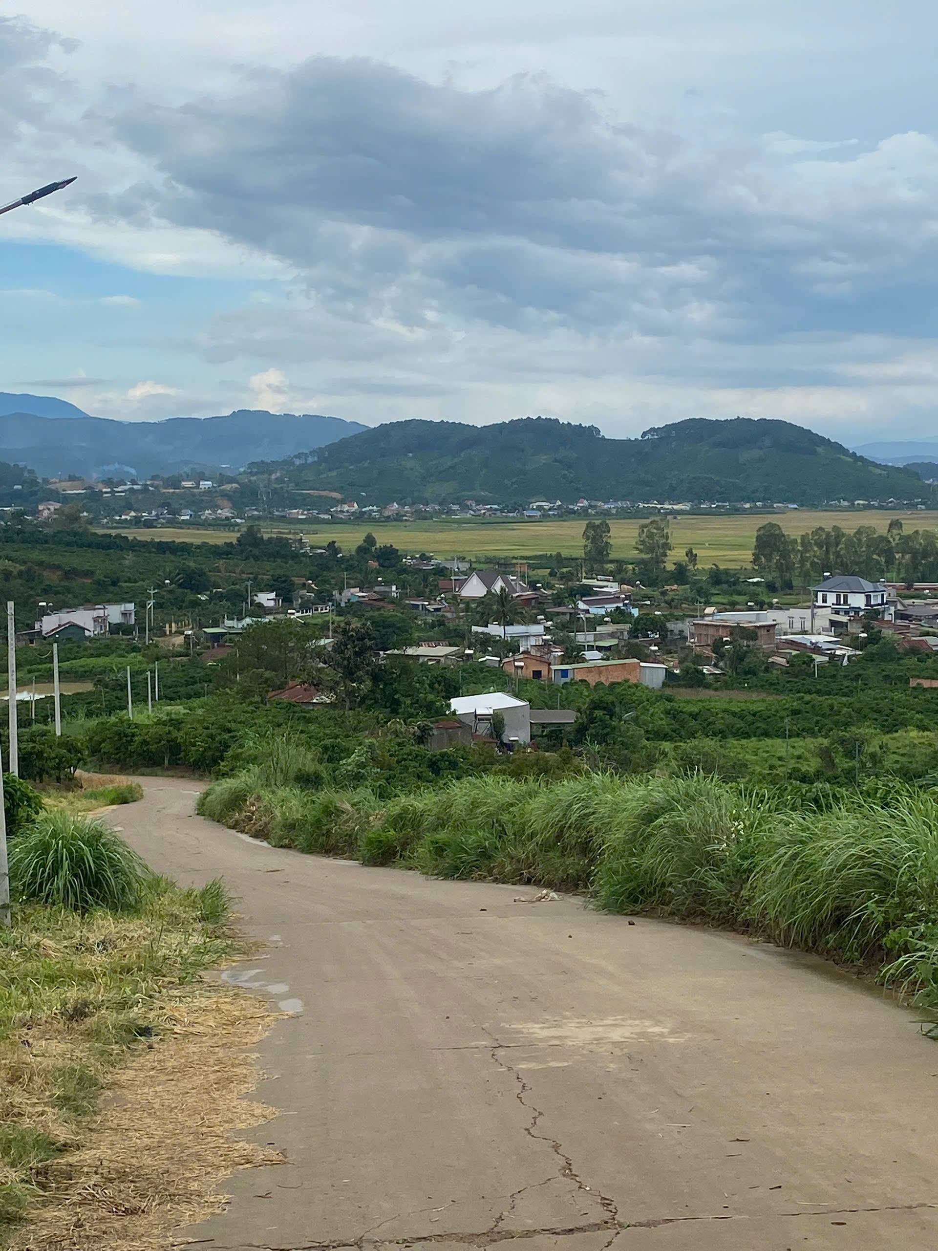 Bán đất Tân Văn huyện Lâm Hà tỉnh Lâm Đồng - Ảnh chính