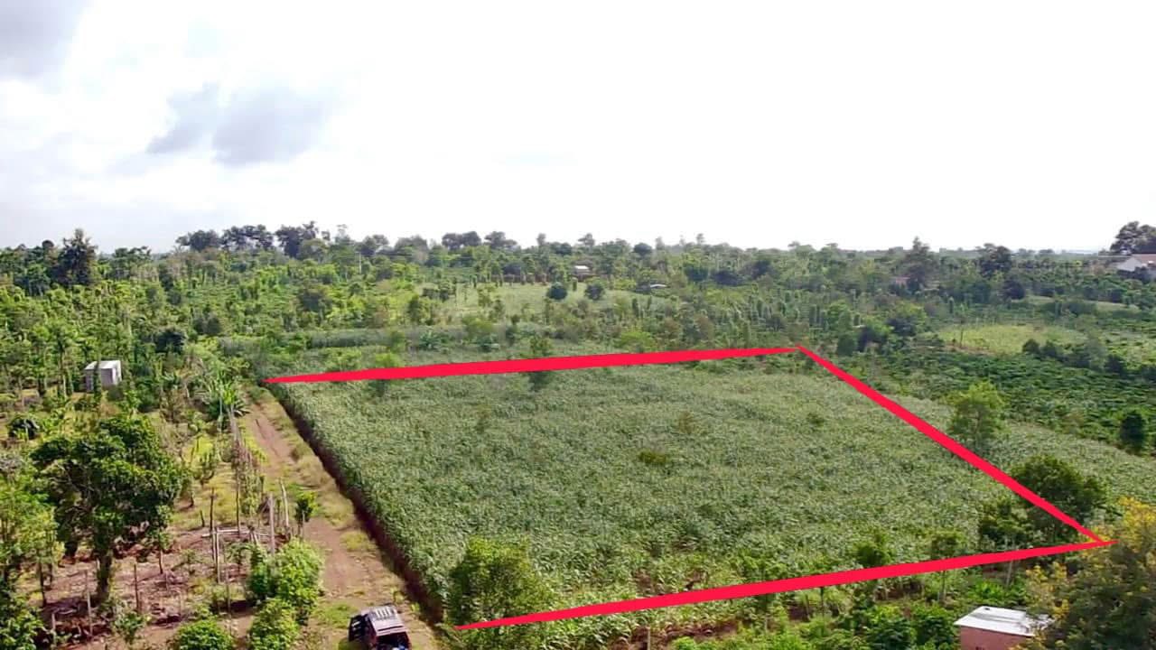 Bán 3.000m2 cạnh đường 29 thị xã Buôn Hồ. Giá; 900tr. Lh 0918.76.9977 - Ảnh chính