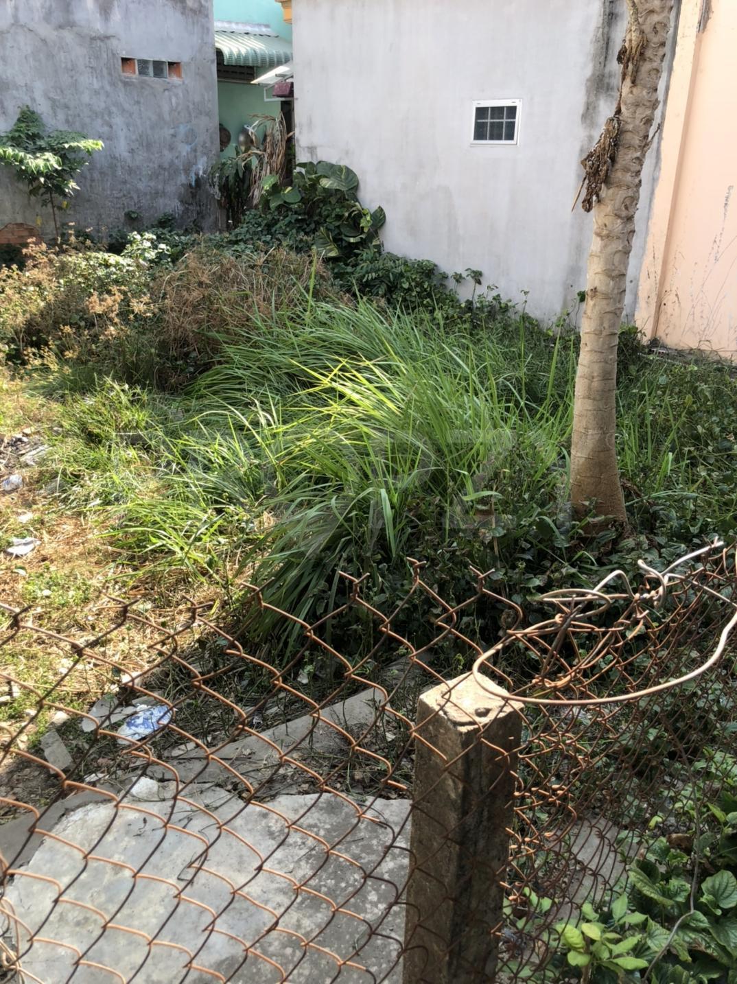 Bán đất ngay Cầu Ông Thìn, QL 50, Bình Chánh - Ảnh 3