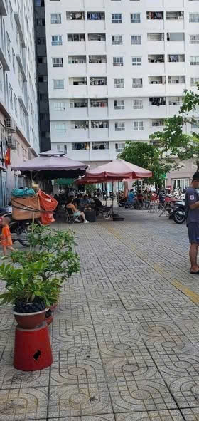 MẶT BẰNG ĐẸP – GỬI GẮM TÂM HUYẾT - Ảnh 2