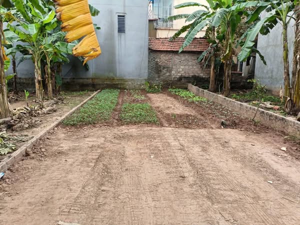 CẦN BÁN 84M ĐẤT ĐƯỜNG OTO VÀO NHÀ, GẦN TRƯỜNG CẤP 3, CHỢ, ĐƯỜNG TL 417, NO1 LIÊN XÃ TẠI THỌ XUÂN, - Ảnh 1