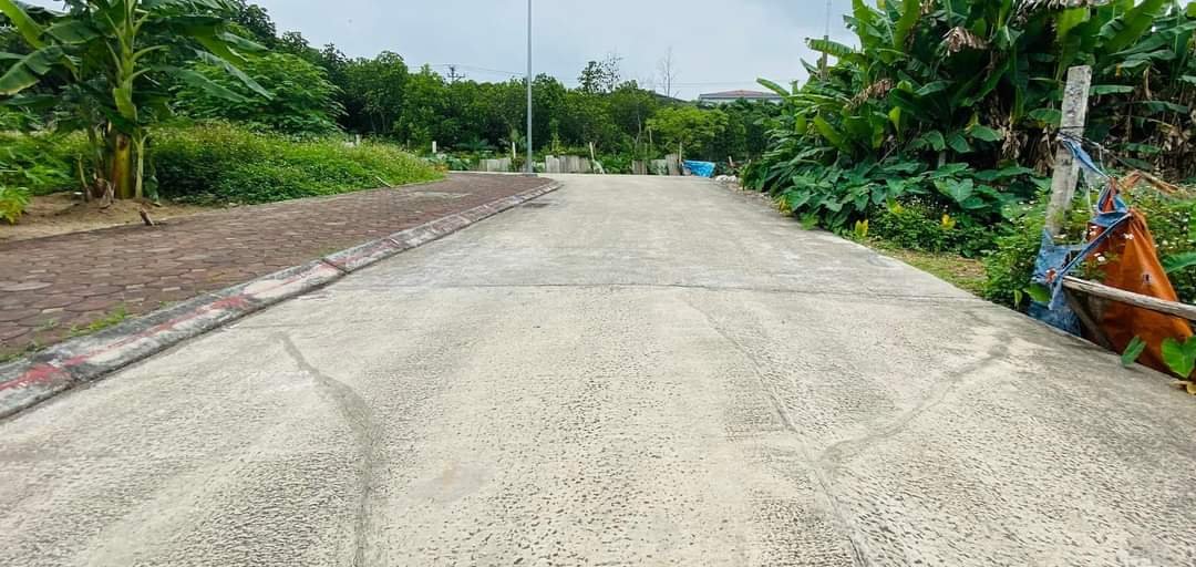 Bán đất đấu giá X1 Việt Hùng Đông Anh Hà Nội - Ảnh chính
