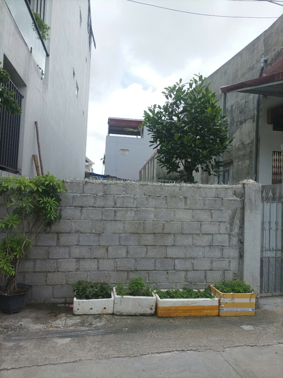 LÔ ĐẤT TUYẾN 2 - TRẦN NHÂN TÔNG - ĐƯỜNG RỘNG 4M - VUÔNG VẮN - PHÁP LÝ BÌA HỒNG - Ảnh chính