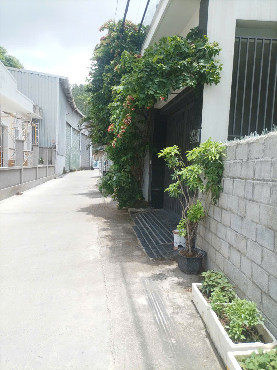LÔ ĐẤT TUYẾN 2 - TRẦN NHÂN TÔNG - ĐƯỜNG RỘNG 4M - VUÔNG VẮN - PHÁP LÝ BÌA HỒNG - Ảnh 1