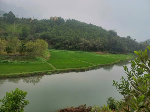 Chính chủ em cần bán 10.000m đất đẹp, giá tốt, vị trí đắc địa tại Kim Bôi, Hoà Bình. 0969446789 - Ảnh 3