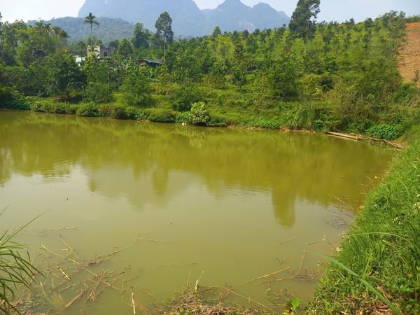 Chính chủ em cần bán 10.000m đất đẹp, giá tốt, vị trí đắc địa tại Kim Bôi, Hoà Bình. 0969446789 - Ảnh 4