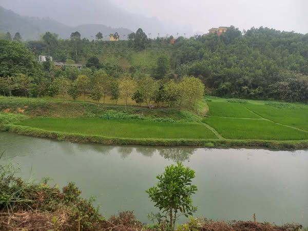 Chính chủ em cần bán 10.000m đất đẹp, giá tốt, vị trí đắc địa tại Kim Bôi, Hoà Bình. 0969446789 - Ảnh 1