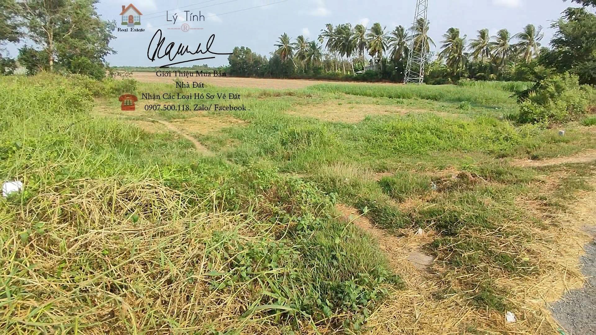 BÀ CHỊ CẦN BÁN THỬA ĐẤT MẶT TIỀN ĐƯỜNG TỈNH 911. KHÁNH LỘC SONG LỘC TRÀ VINH - Ảnh chính
