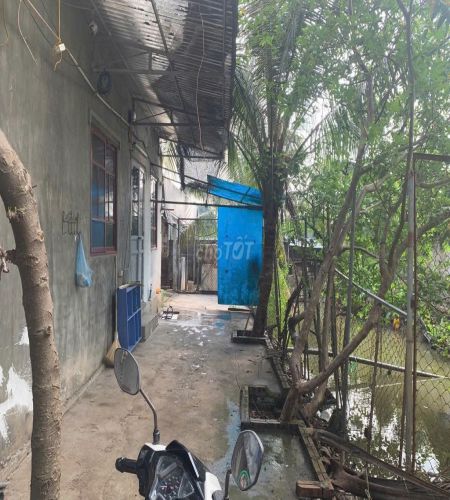 Cho thuê nhà riêng – Officetel Địa chỉ: 35, 107 phố Trung Tựu, Phường Tây Tựu, Quận Bắc Từ Liêm - Ảnh chính