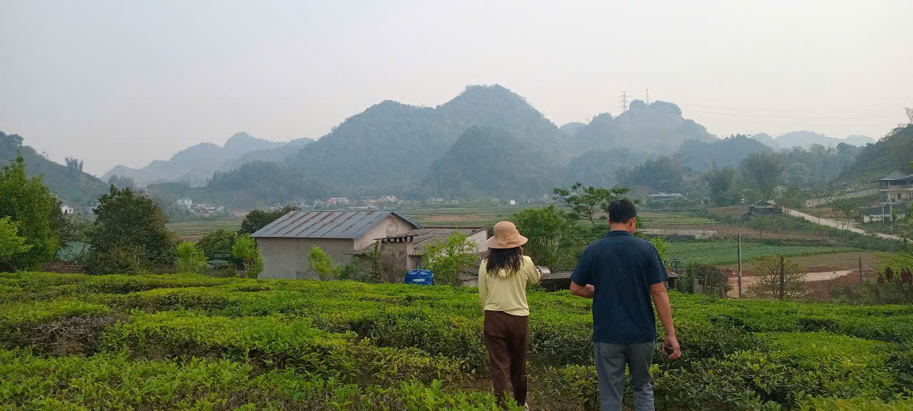 🌟 ĐẤT ĐẸP TRUNG TÂM DU LỊCH MỘC CHÂU – ĐƯỜNG 34M - VIEW HỒ VỌNG NGUYỆT - Ảnh chính