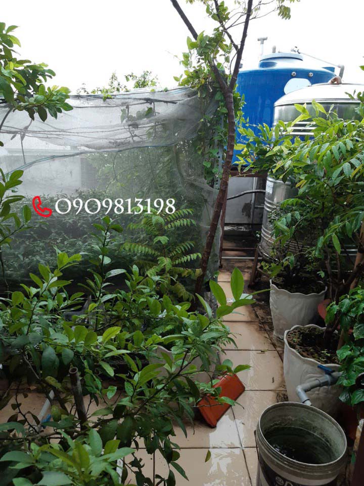 📌📌📌Chính Chủ Bán Nhà SHR Bình Tân - Giá Tốt Thị Trường📌📌📌 - Ảnh chính
