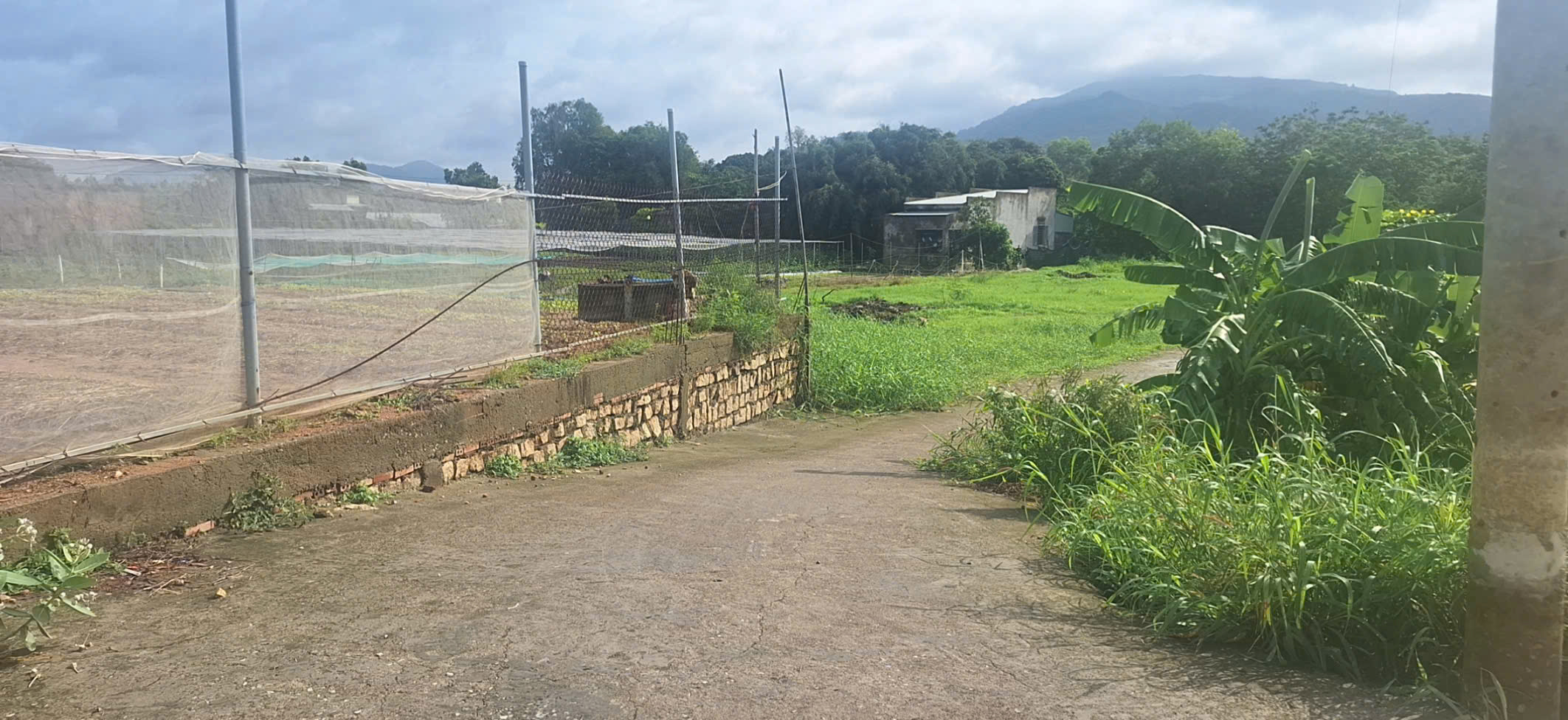 BÁN ĐẤT ĐƯỜNG TRÁNH QL56 TÂN HẢI, PHÚ MỸ, BÀ RỊA VŨNG TÀU. 1773M2 CÓ 300M2 THỔ CƯ. LH:0588201669 - Ảnh chính