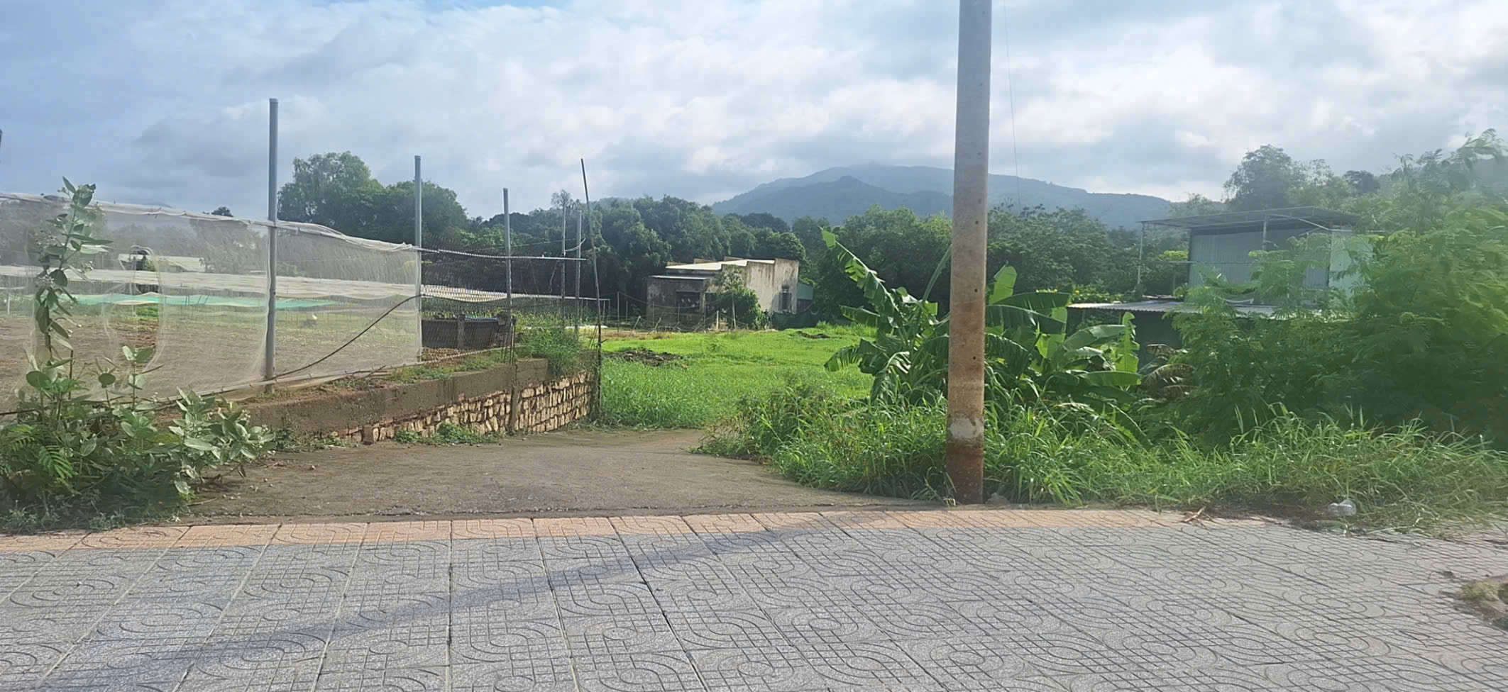 BÁN ĐẤT ĐƯỜNG TRÁNH QL56 TÂN HẢI, PHÚ MỸ, BÀ RỊA VŨNG TÀU. 1773M2 CÓ 300M2 THỔ CƯ. LH:0588201669 - Ảnh 3