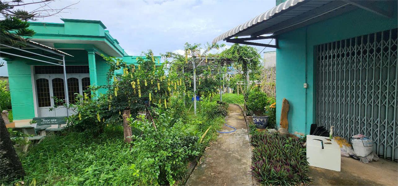 Mặt bằng kinh doanh cafe/quán ăn sân vườn, DT: 2400m2, mặt tiền DT826. - Ảnh 4